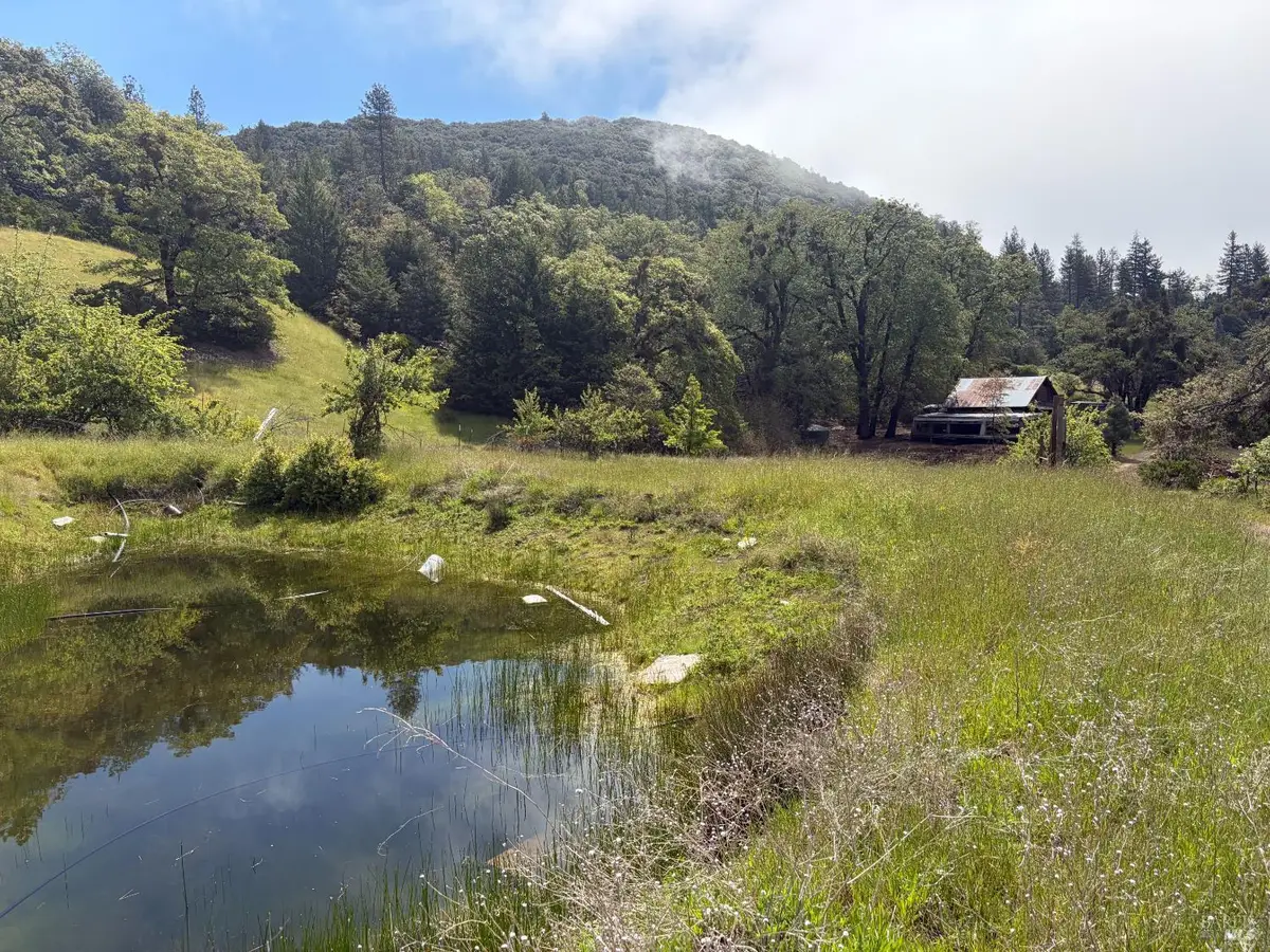 4051 Spyrock Road, Laytonville, CA 95454 - #1