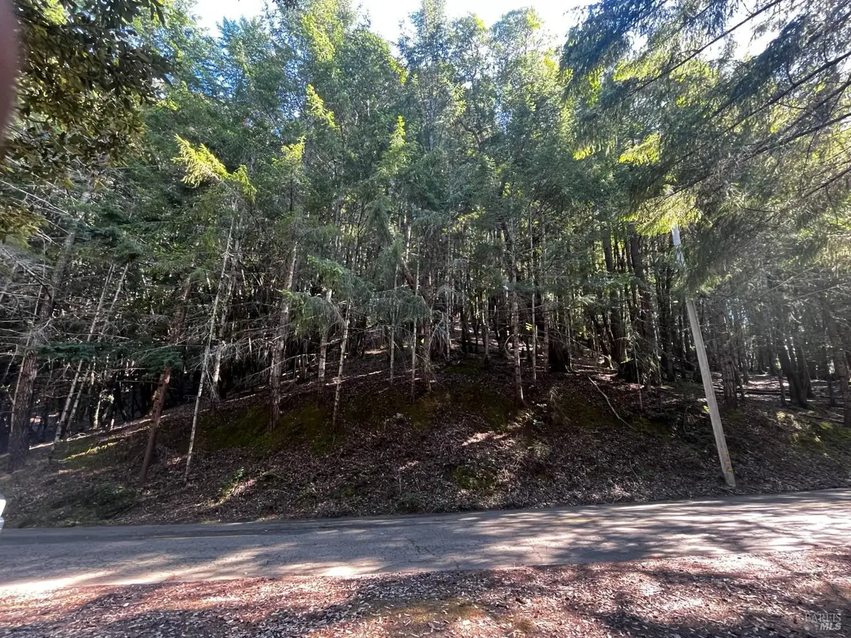 1775 Buckeye Road, Willits, CA 95490 - #1