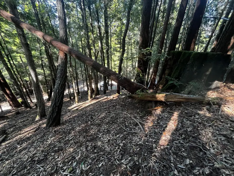 1775 Buckeye Road, Willits, CA 95490 - #2