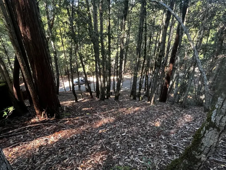 1775 Buckeye Road, Willits, CA 95490 - #3