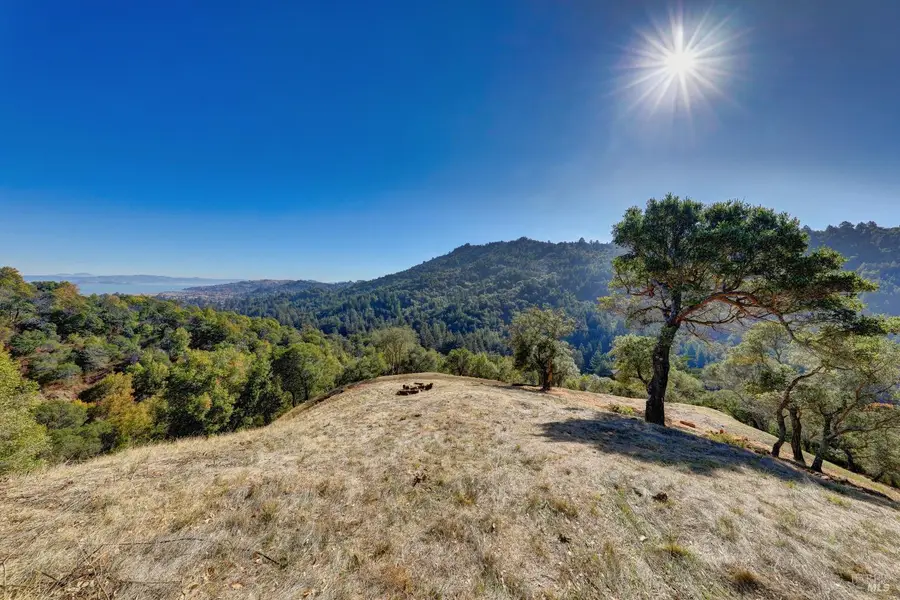 50 Oak Road, Larkspur, CA 94939 - #3