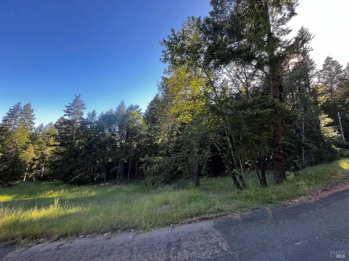 26048 Peacock Road, Willits, CA 95490 - #1