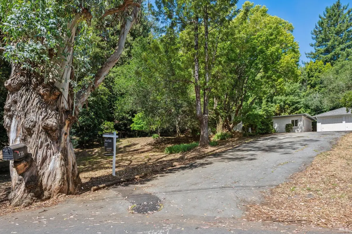 375 Sausalito Street, Corte Madera, CA 94925 - #1