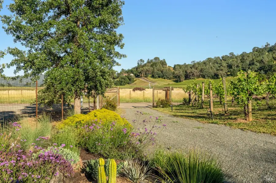 1785 Pope Canyon Road, Saint Helena, CA 94574 - #2