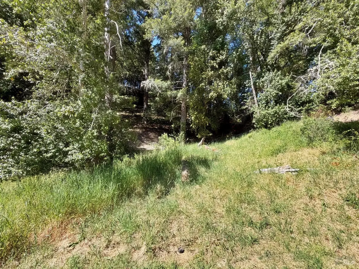 1494 Hulett Place, Willits, CA 95490 - #1