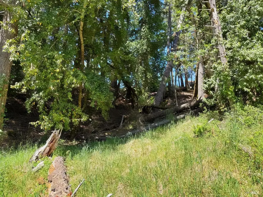 1494 Hulett Place, Willits, CA 95490 - #3