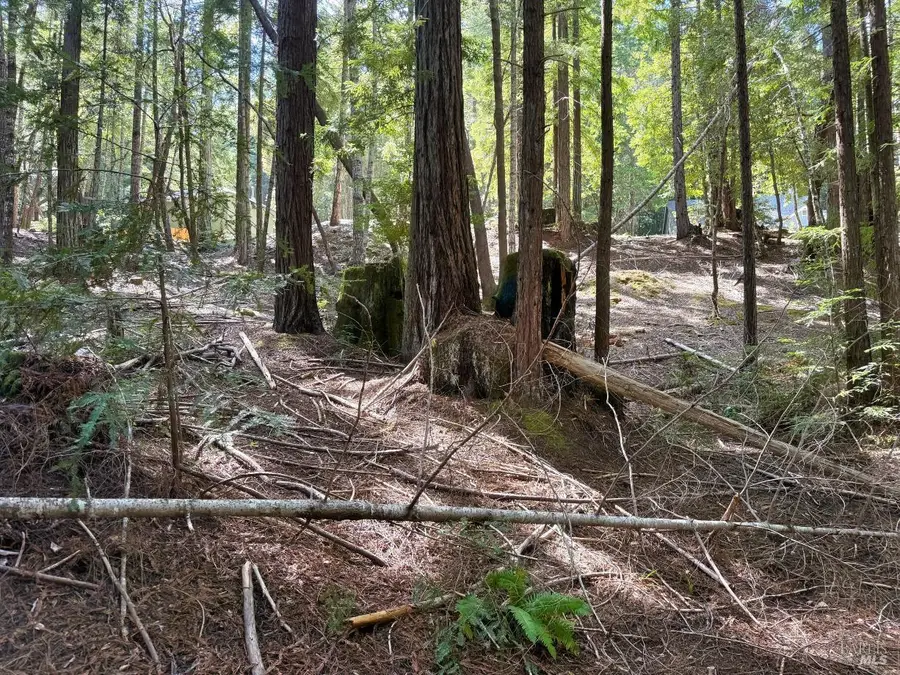 2421 Otter Lane, Willits, CA 95490 - #3