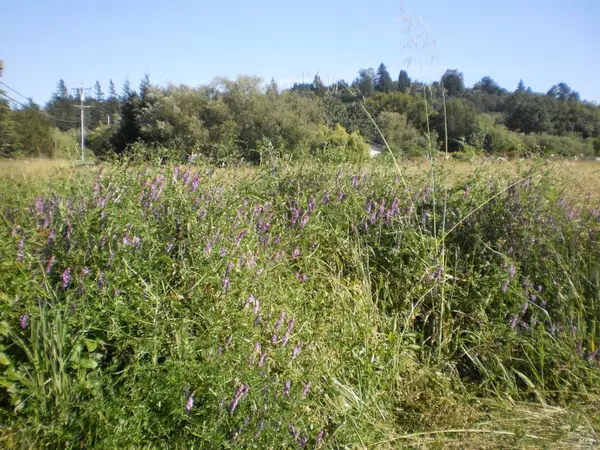 300 Ferguson Road, Sebastopol, CA 95472