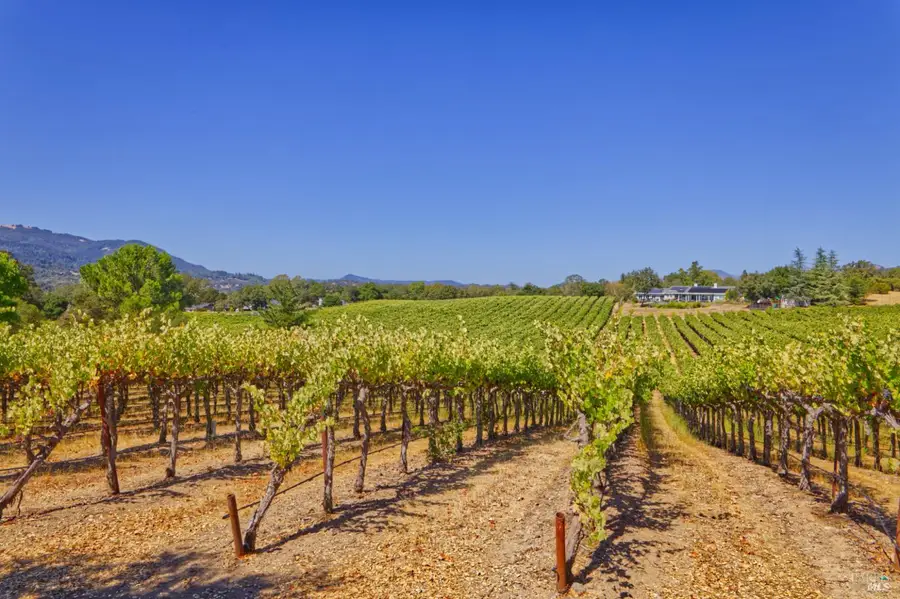 15881 Highway 12, Sonoma, CA 95476 - #2