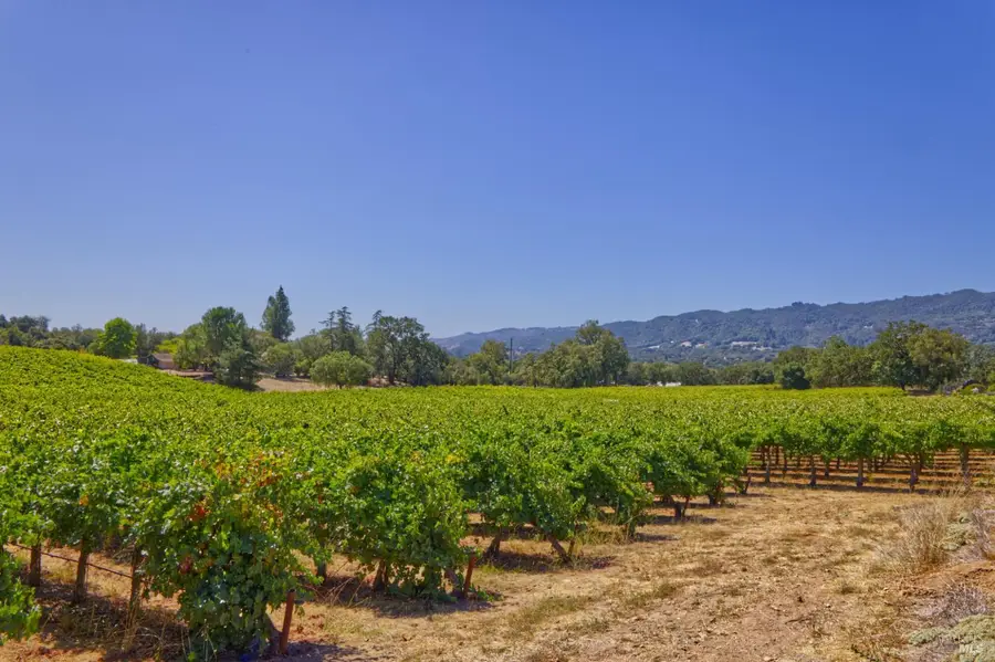 15881 Highway 12, Sonoma, CA 95476 - #3