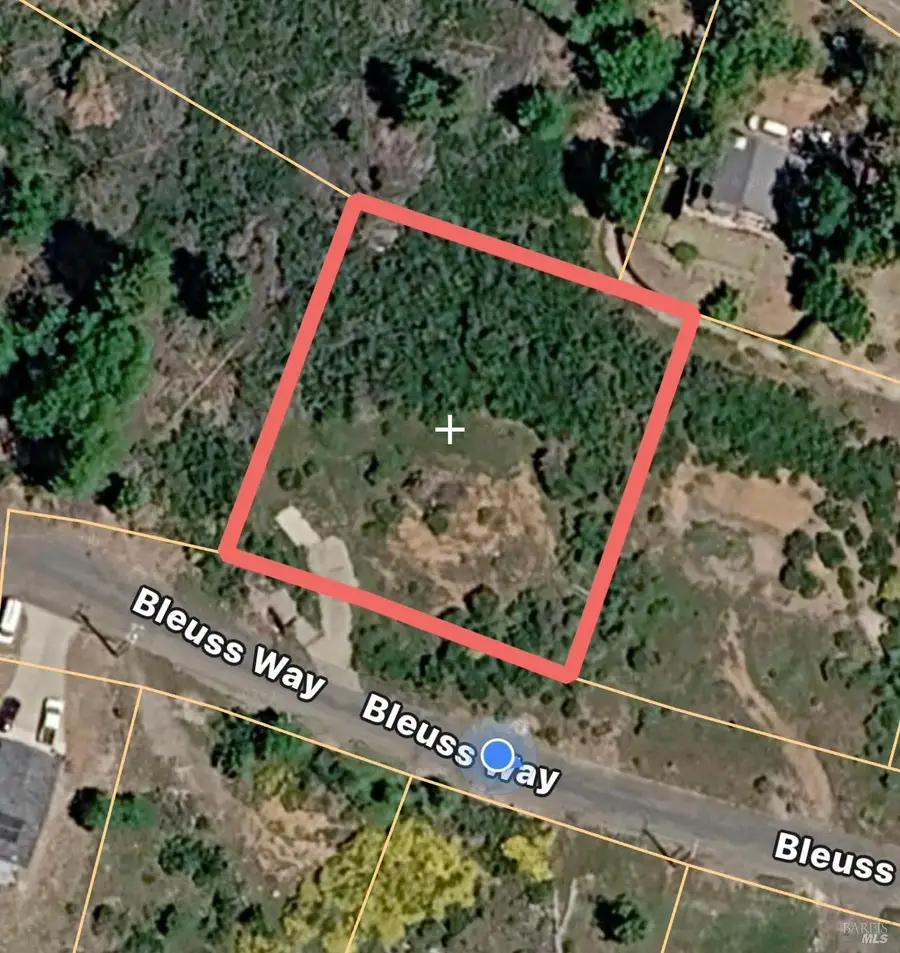9284 Bleuss Way, Cobb, CA 95426 - #3