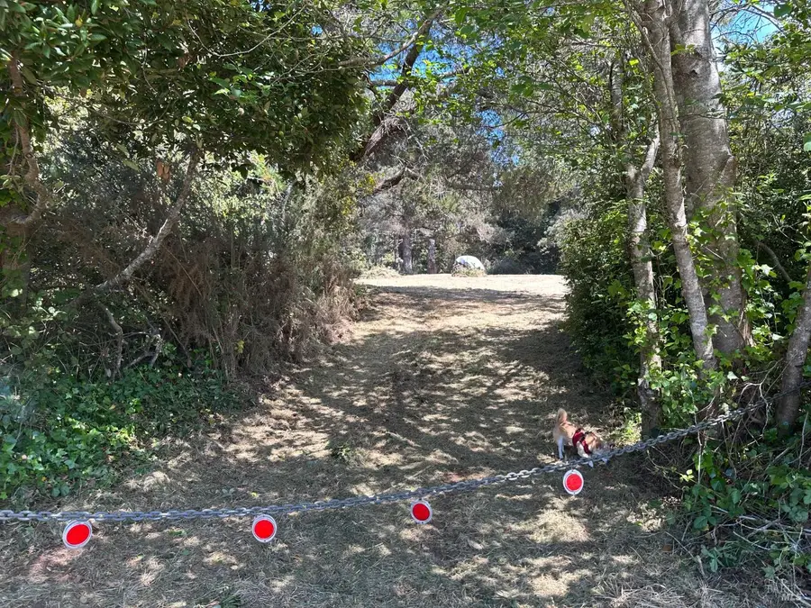 0 Pine Drive, Fort Bragg, CA 95437 - #2