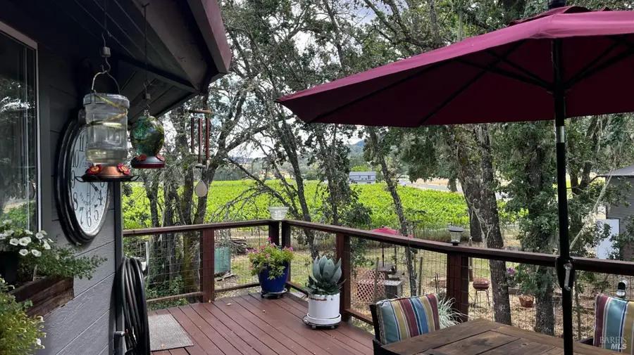 13885 Mountain House Road, Hopland, CA 95449 - #3