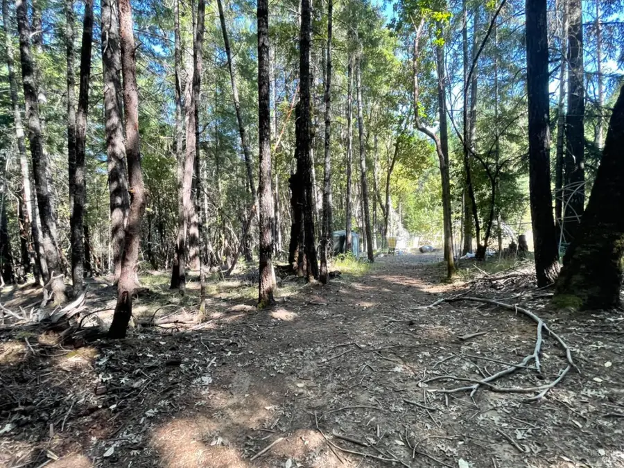 1901 Tenmile Creek Road, Laytonville, CA 95454 - #2