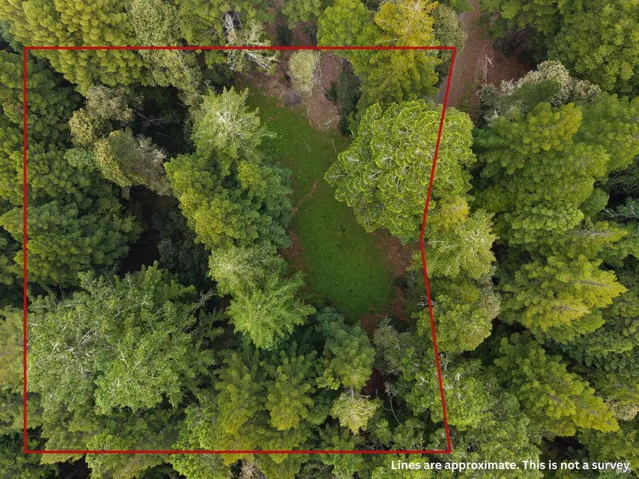 22051 Rust Drive, Timber Cove, CA 95450 - #2