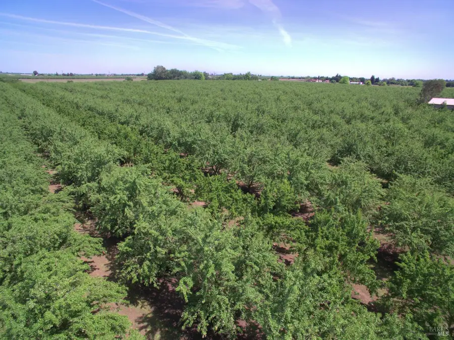 7948 N Meridian Road, Dixon, CA 95620 - #3