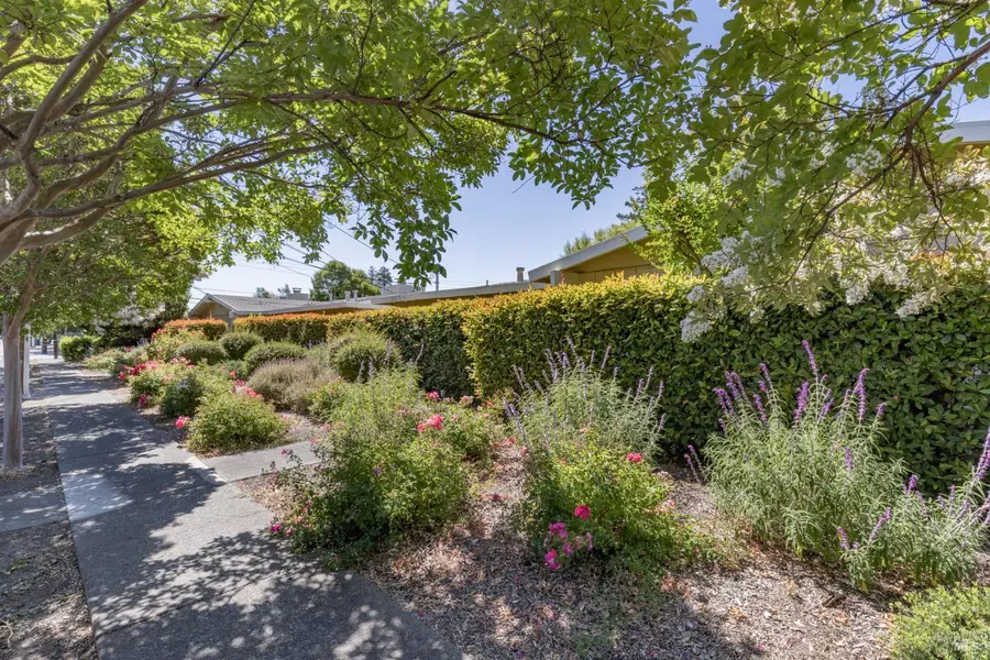 121 W Macarthur Street, Sonoma, CA 95476 - #2