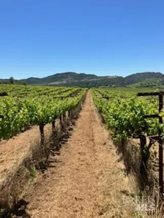 3585 Soda Canyon Road, Napa, CA 94558 - #1