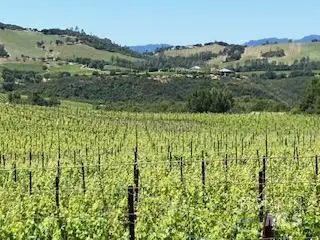 3585 Soda Canyon Road, Napa, CA 94558 - #3