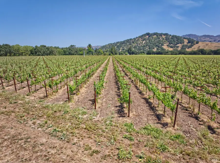 6160 Saint Helena Highway, Napa, CA 94558 - #3