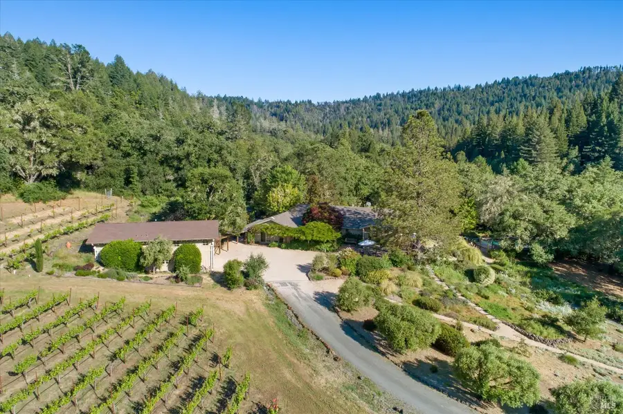 22200 Puccioni Road, Healdsburg, CA 95448 - #3