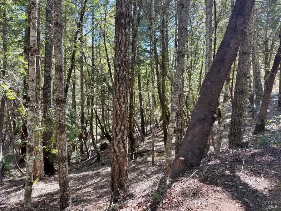 4541 Blue Lake Road, Willits, CA 95490 - #2