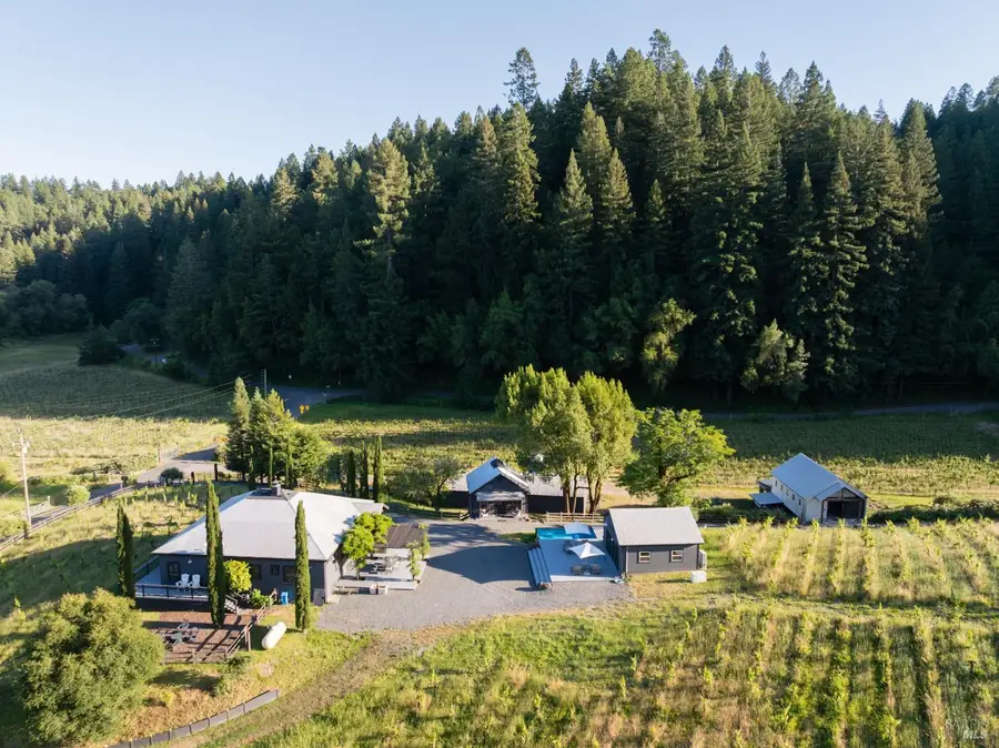 8781 Martinelli Road, Forestville, CA 95436 - #2
