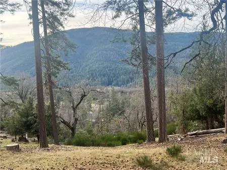 9457 Fox Drive, Cobb, CA 95426 - #1