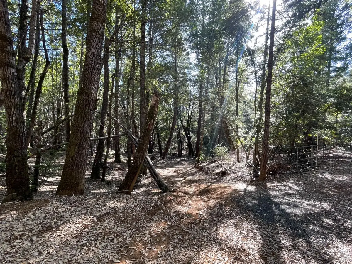 53800 Highway 101, Laytonville, CA 95454 - #1