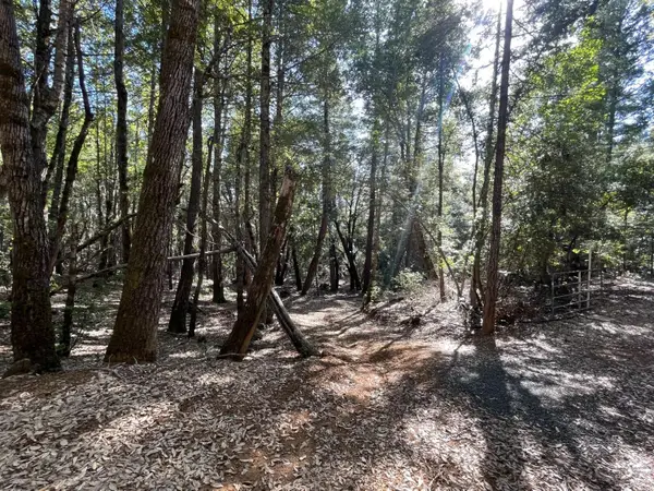 53800 Highway 101, Laytonville, CA 95454