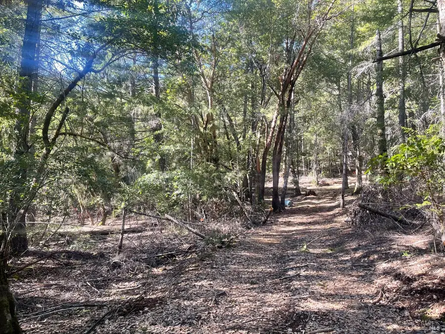 53800 Highway 101, Laytonville, CA 95454 - #2