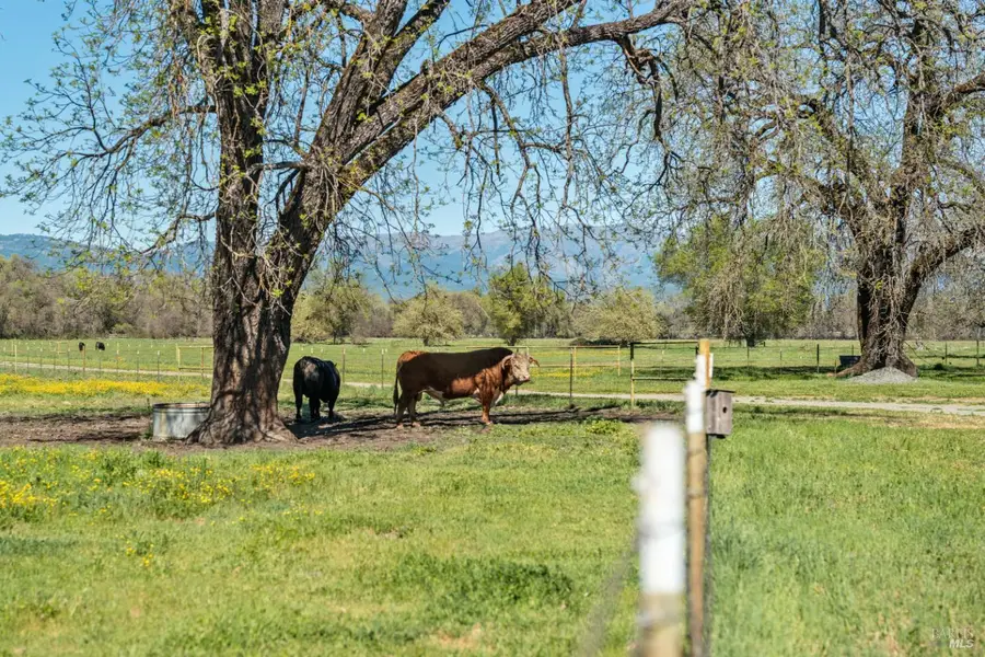 73001 Covelo Road, Covelo, CA 95428 - #3