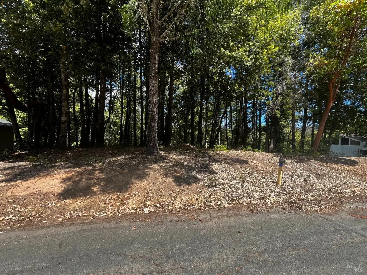 1670 Lilac Lane, Willits, CA 95490 - #1