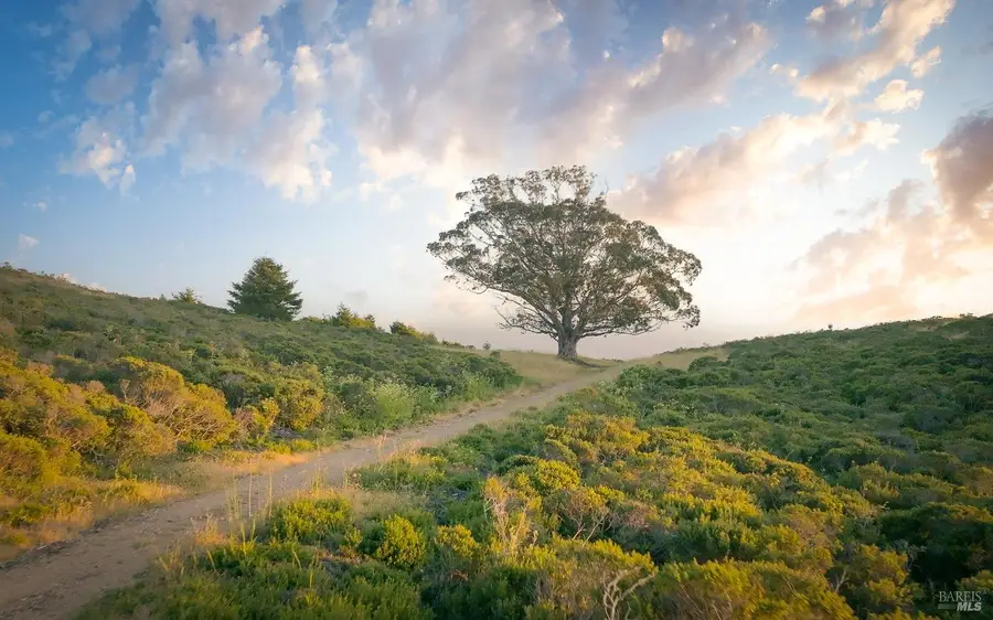 215 Belvedere Avenue, Stinson Beach, CA 94970 - #2