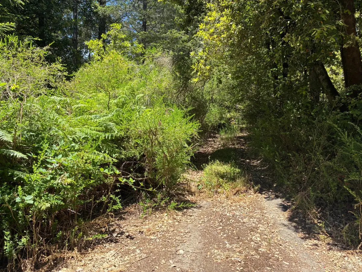 30 Sunrise Mountain, Cazadero, CA 95421 - #1