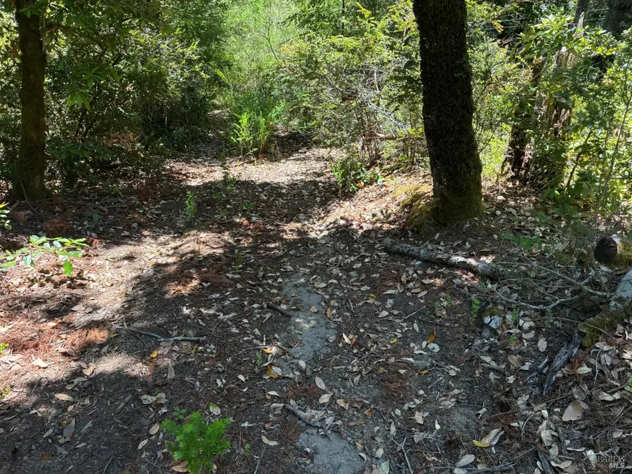 30 Sunrise Mountain, Cazadero, CA 95421 - #2