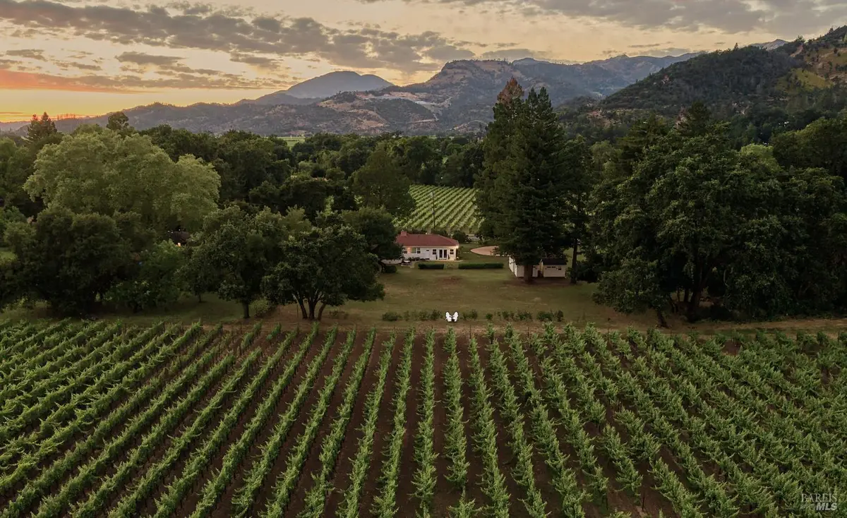1015 Bale Lane, Calistoga, CA 94515 - #1