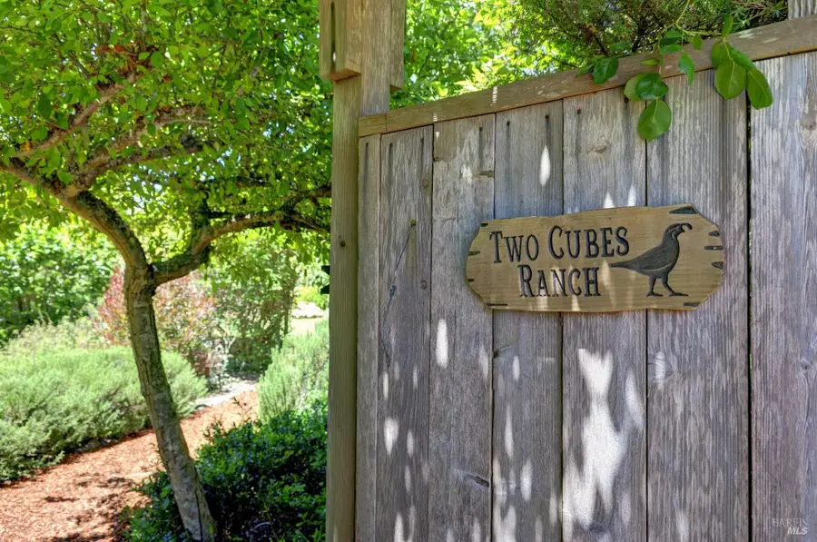 385 Cedar Road, Bolinas, CA 94924 - #3