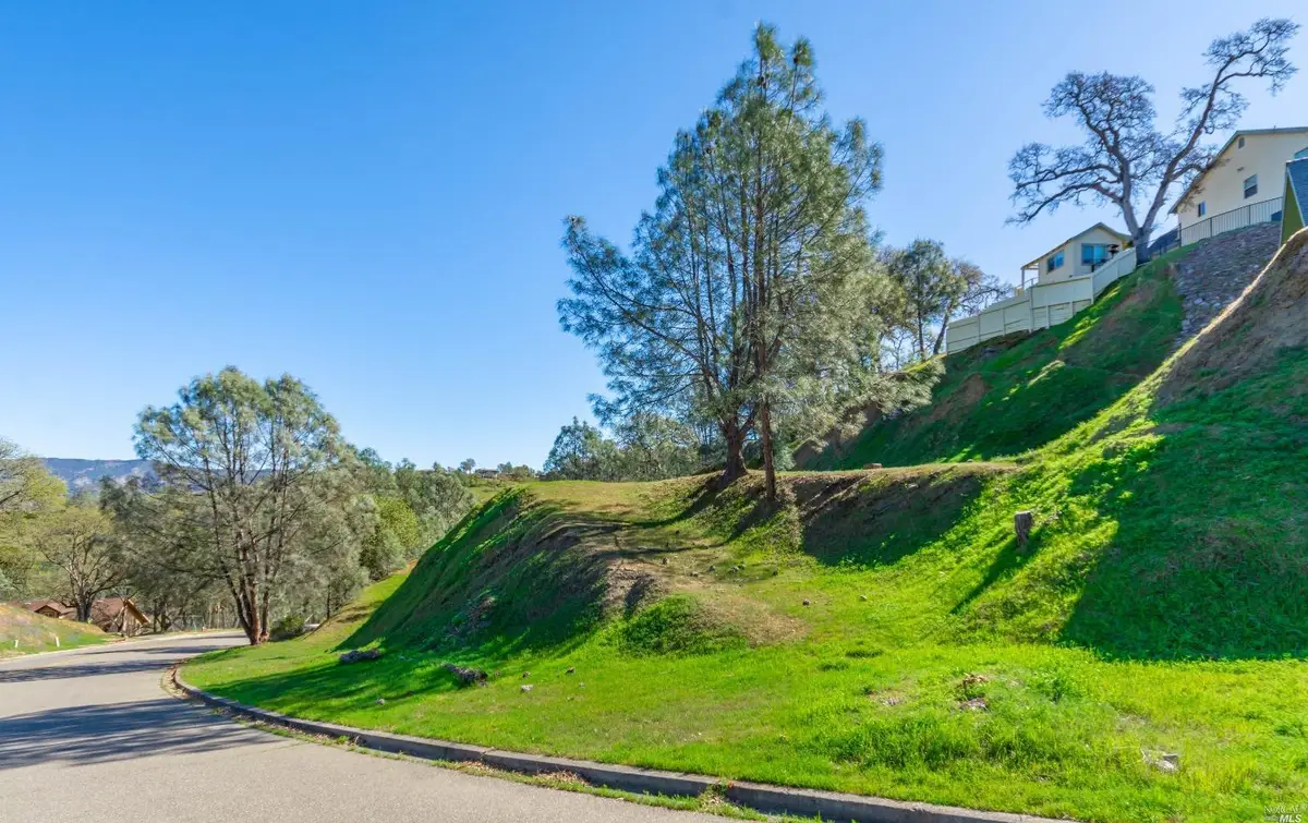1276 Steele Canyon Road, Napa, CA 94558 - #1