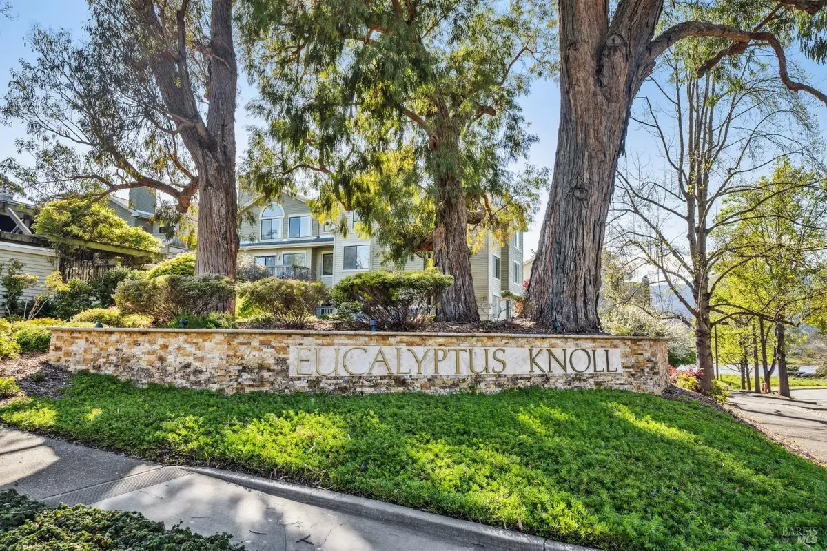 123 Eucalyptus Knoll Street, Mill Valley, CA 94941 - #1