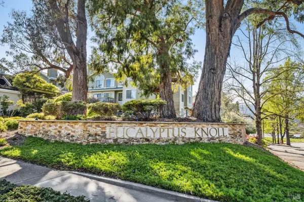 123 Eucalyptus Knoll Street, Mill Valley, CA 94941
