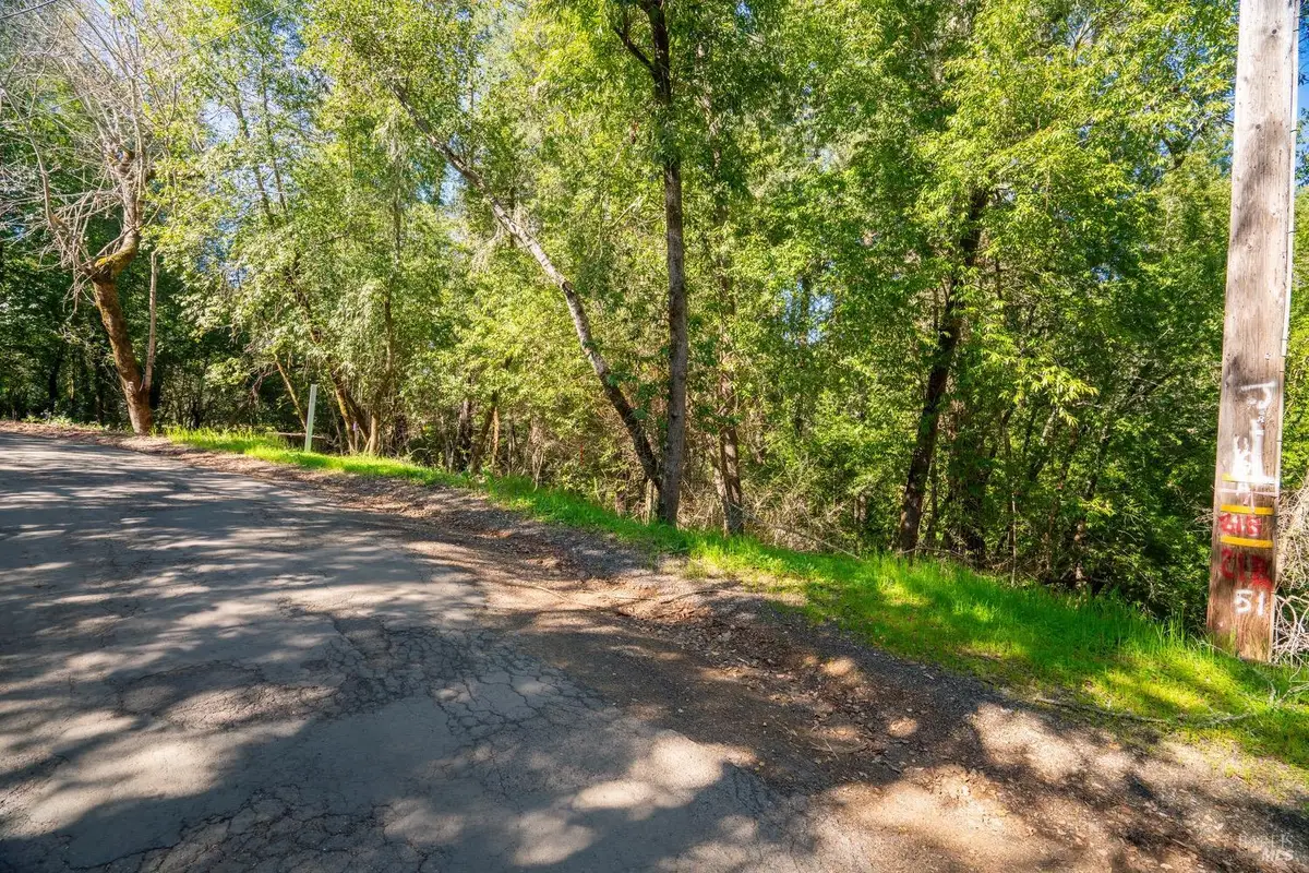 10608 Canyon Road, Forestville, CA 95436 - #1