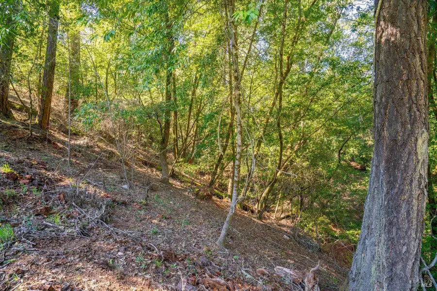 10608 Canyon Road, Forestville, CA 95436 - #3
