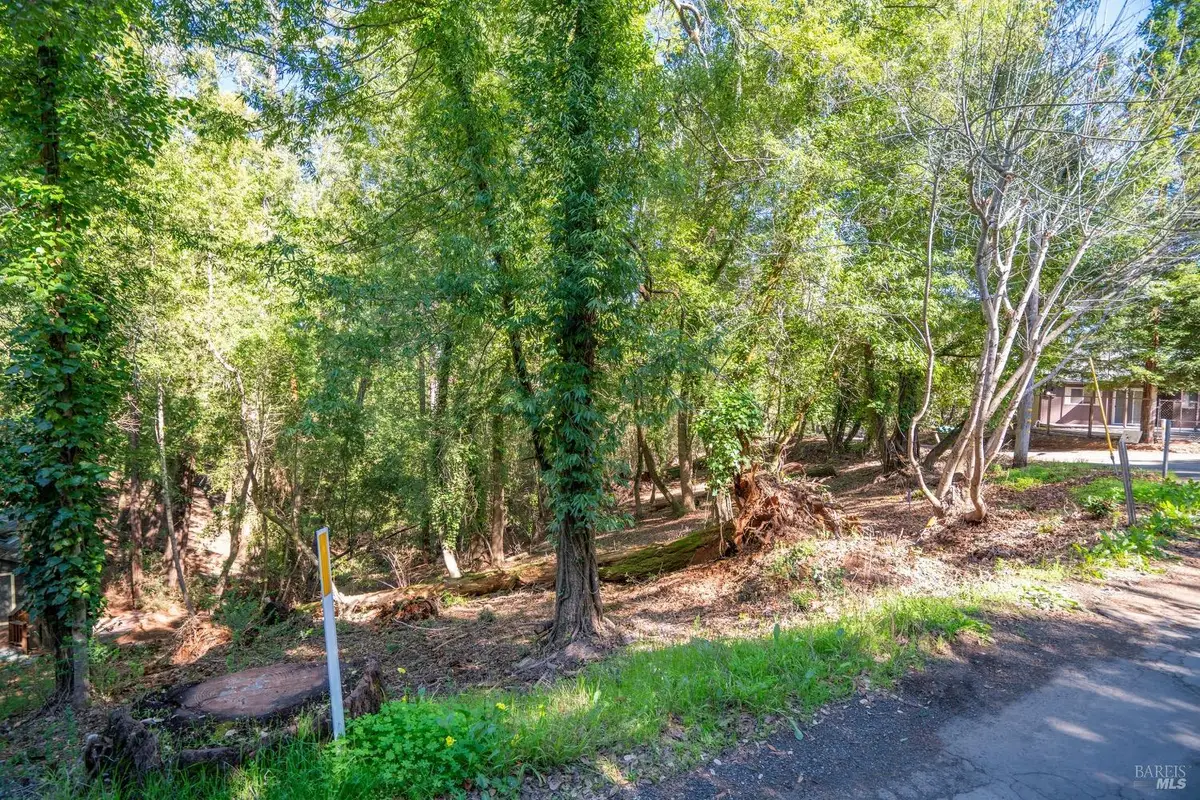 10612 Canyon Road, Forestville, CA 95436 - #1