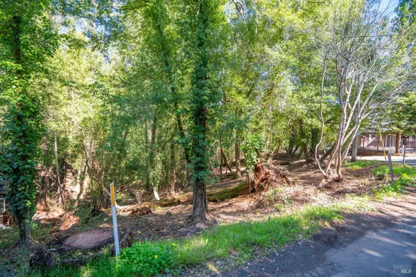 10612 Canyon Road, Forestville, CA 95436