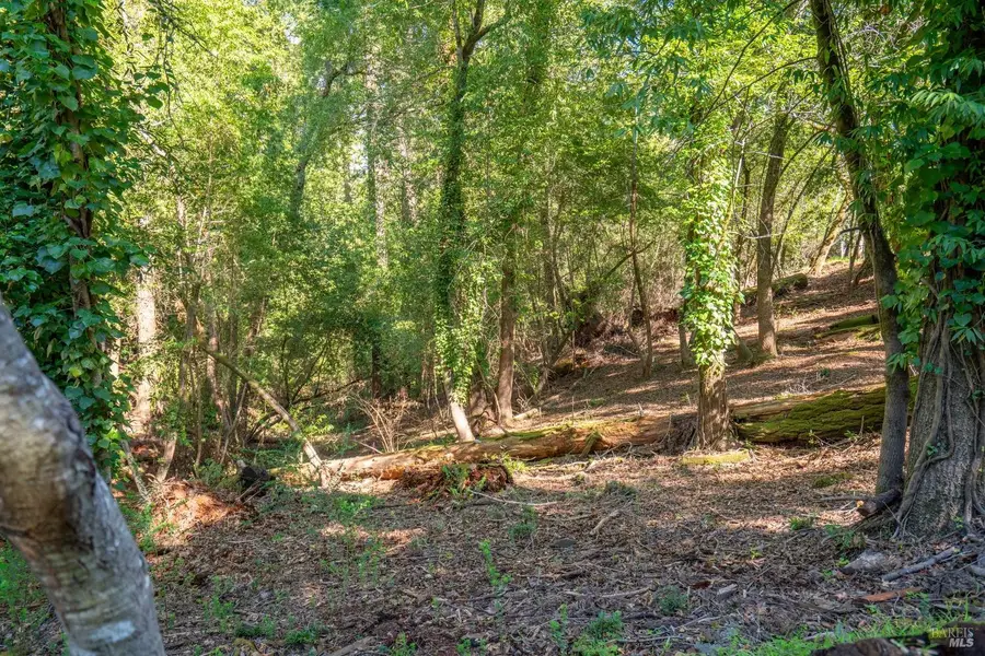 10612 Canyon Road, Forestville, CA 95436 - #2