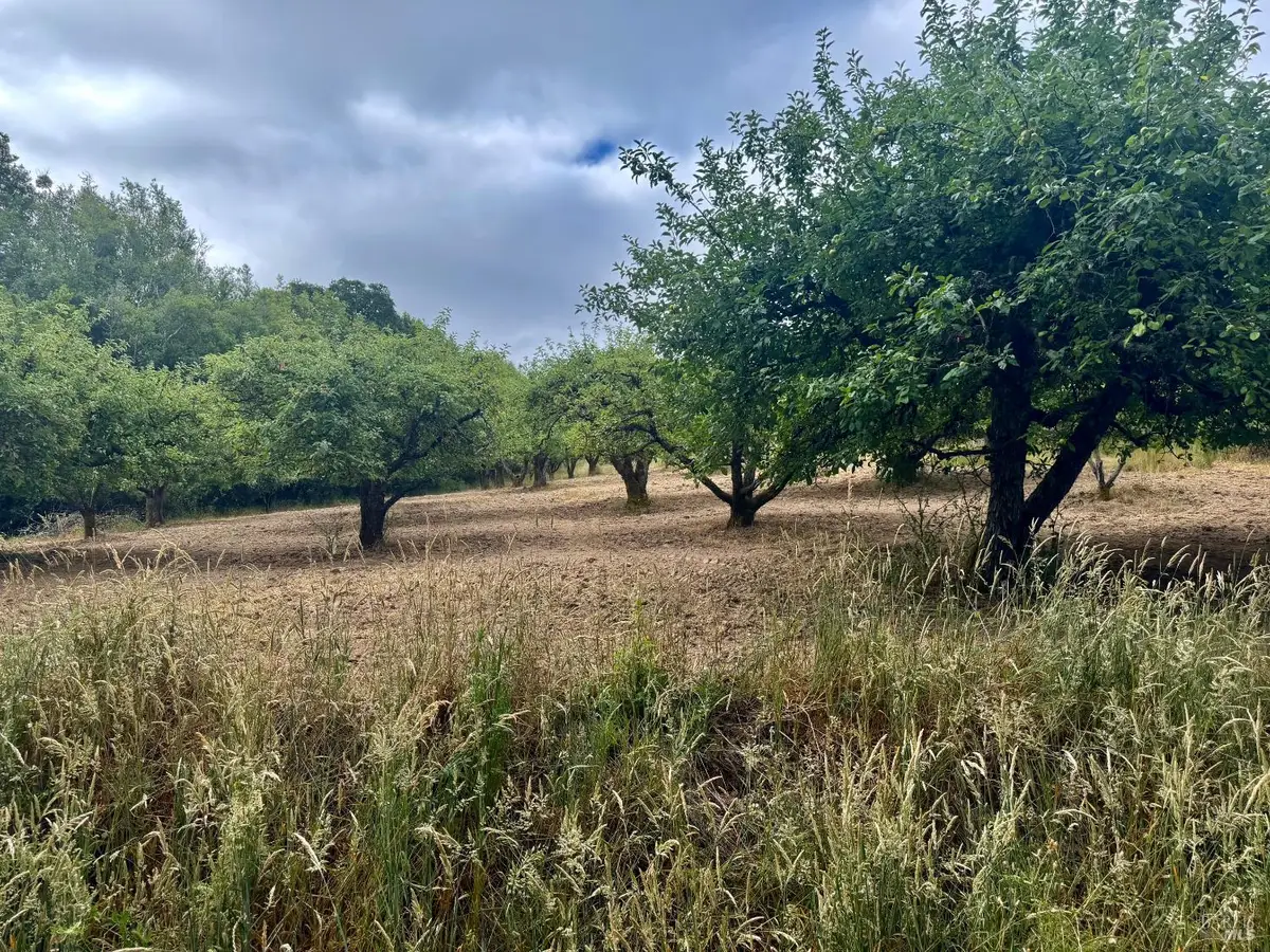 237 Gold Ridge Road, Sebastopol, CA 95472 - #1