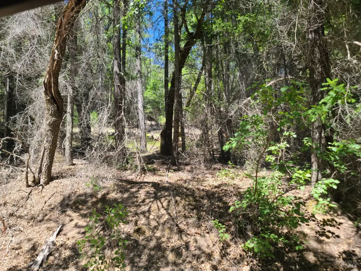 0 0 Pigeon Ridge Road, Covelo, CA 95428 - #1