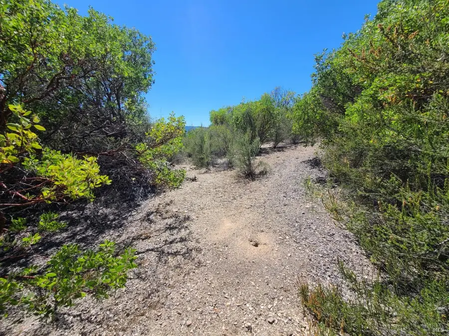 0 0 Pigeon Ridge Road, Covelo, CA 95428 - #2