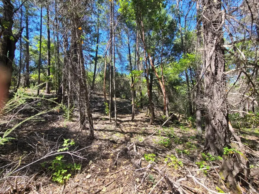 0 0 Pigeon Ridge Road, Covelo, CA 95428 - #3
